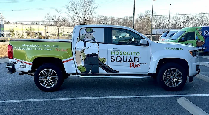 Gallery Template Mossquad